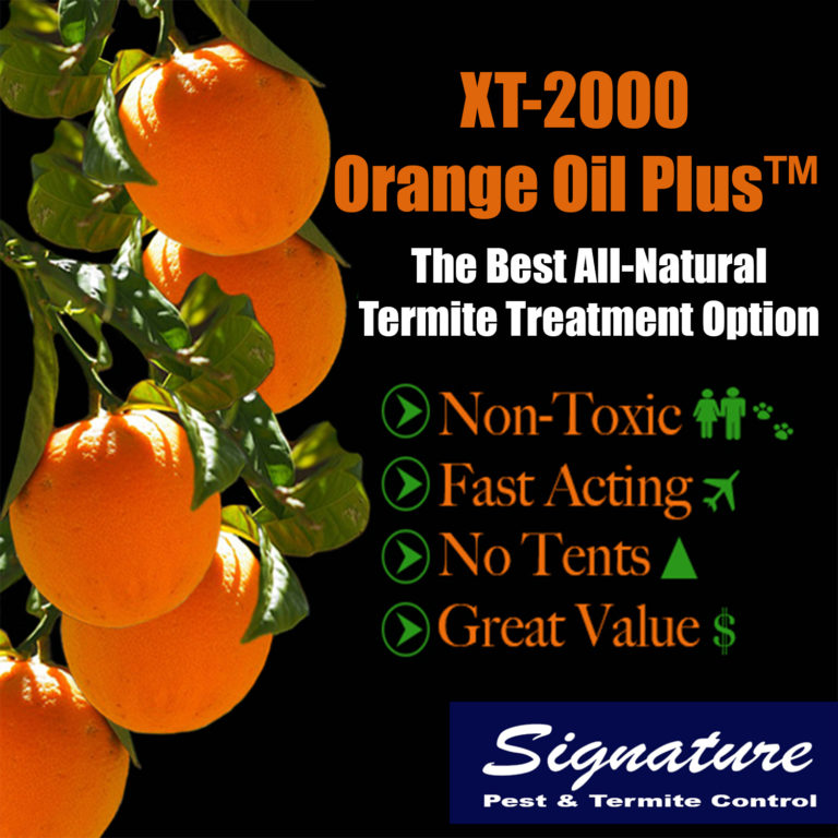 Orange Oil Termite Treatment Signature Pest Control